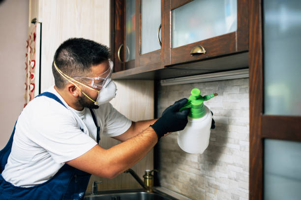 Best Pest Control Near Me  in Dillsboro, IN