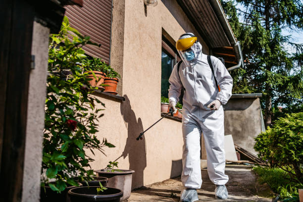 Best Cockroach Control Services  in Dillsboro, IN
