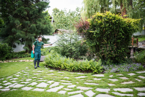 Trusted Dillsboro, IN Pest Control Experts