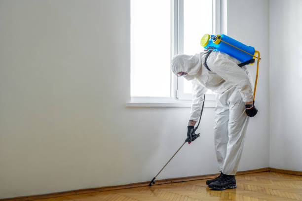 Best Flea Control Services  in Dillsboro, IN