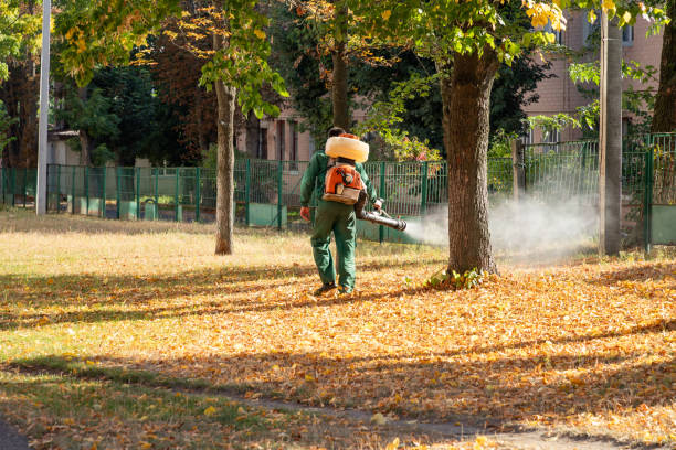 Best Exterminator Services  in Dillsboro, IN