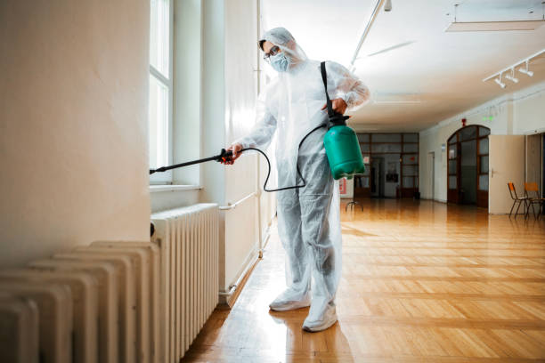 Best Mosquito Control Services  in Dillsboro, IN