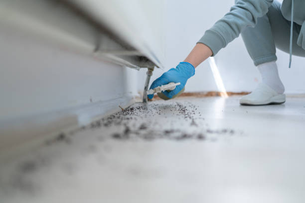 Best Pest Inspection Near Me  in Dillsboro, IN
